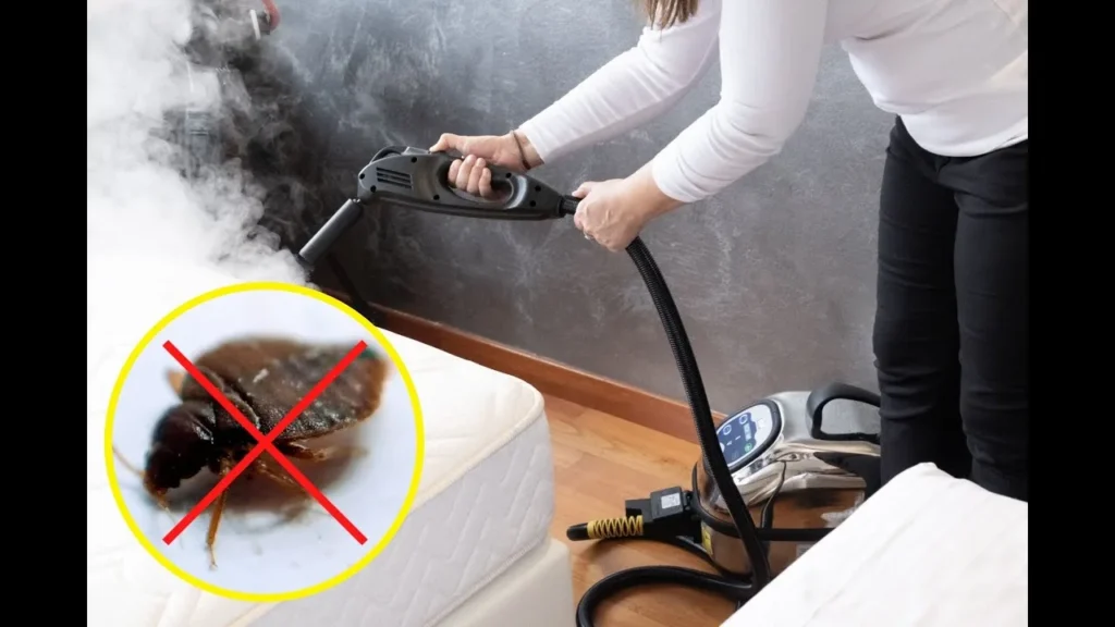 Steam-X ångpistol för utrotning av vägglöss